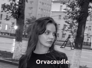 Orvacaudle