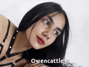 Owencattleya