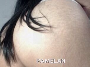 PAMELA_N