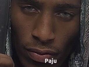 Paju