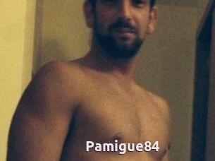 Pamigue84