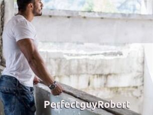 PerfectguyRobert