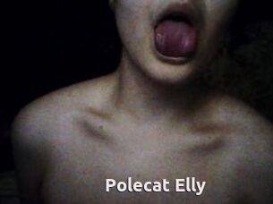 Polecat_Elly