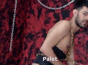 Palet