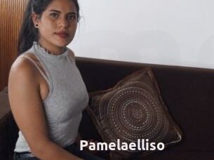 Pamelaelliso