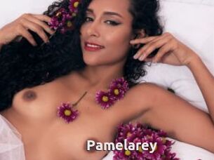 Pamelarey