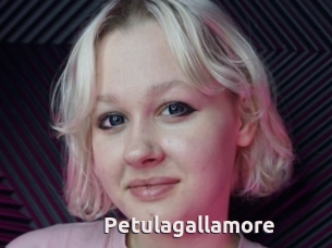 Petulagallamore