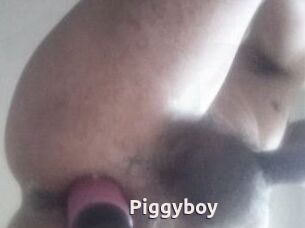 Piggyboy