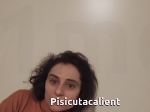 Pisicutacalient