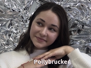 Pollybrucker