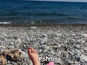 Porcona