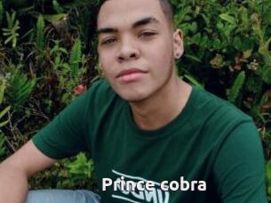 Prince_cobra