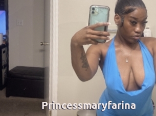 Princessmaryfarina