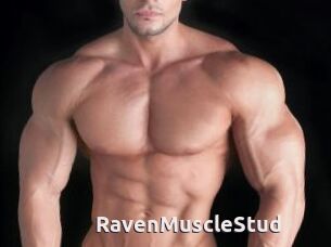 RavenMuscleStud