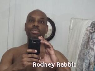 Rodney_Rabbit