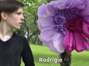 Rodrigie
