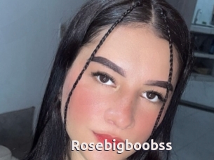 Rosebigboobss