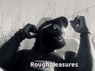 Roughpleasures