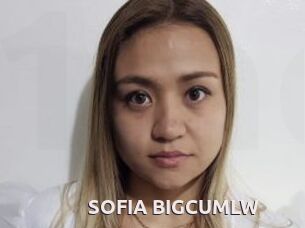 SOFIA_BIGCUMLW