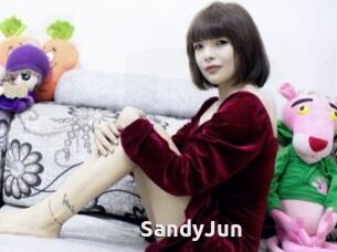 SandyJun