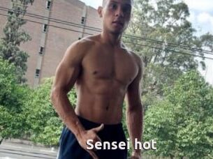 Sensei_hot