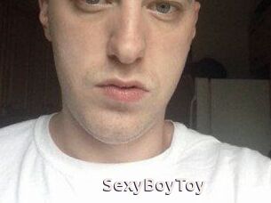 SexyBoyToy