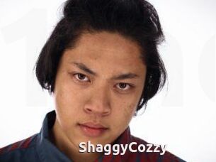 ShaggyCozzy