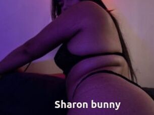 Sharon_bunny