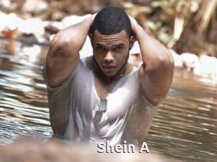 Shein_A