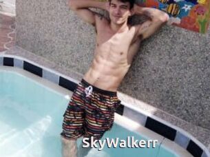 SkyWalkerr