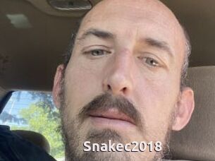 Snakec2018
