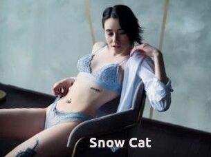 Snow_Cat