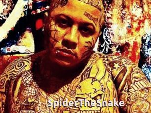SpiderTheSnake