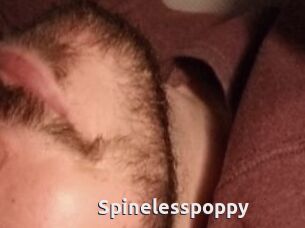 Spinelesspoppy