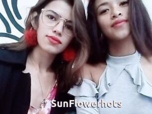 SunFlowerhots