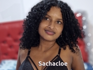 Sachacloe