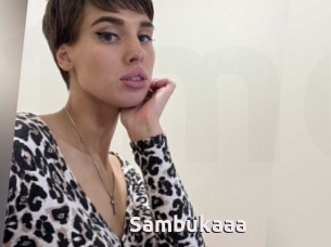 Sambukaaa