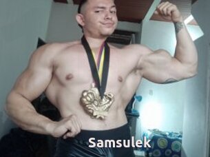 Samsulek