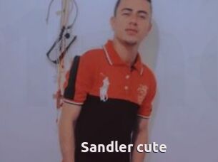 Sandler_cute