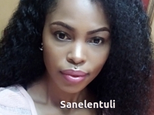Sanelentuli