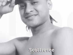 Scottrosee