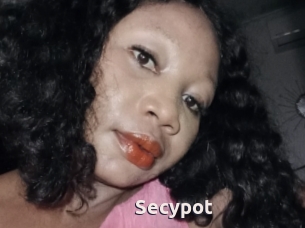 Secypot