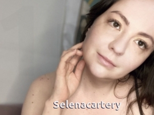 Selenacartery