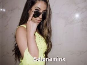 Selenaminx
