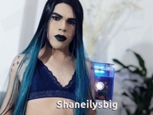 Shaneilysbig