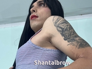 Shantalbrow