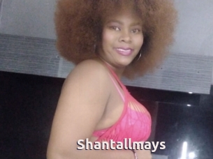 Shantallmays