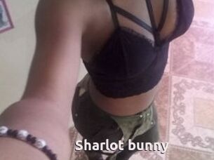Sharlot_bunny
