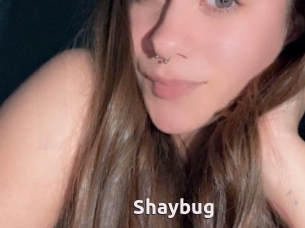 Shaybug