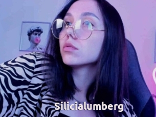 Silicialumberg